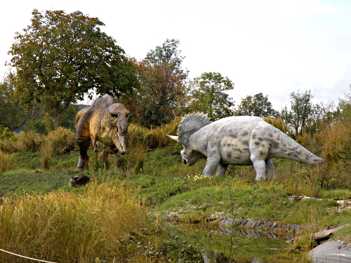 Tyrannosaure et tricératops se font face