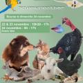 Affiche des journées européennes de l'élevage conservatoire