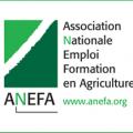 Le logo de l'association ANEFA