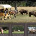 Capture d'écran du site de la réserve des bisons d'Europe