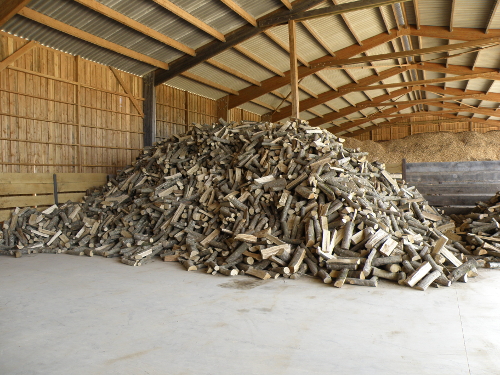 Photo d'un lot de bûches stockées dans le hangar de la cuma