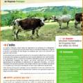 Bulletin de l'Agriculture Durable de Moyenne Montagne, n°2