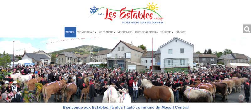Capture d'écran de l'accueil du site web des Estables