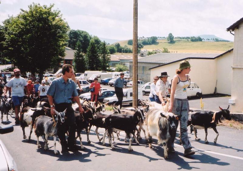 Une photo du défilé des chèvres, dans St Front, en 2002