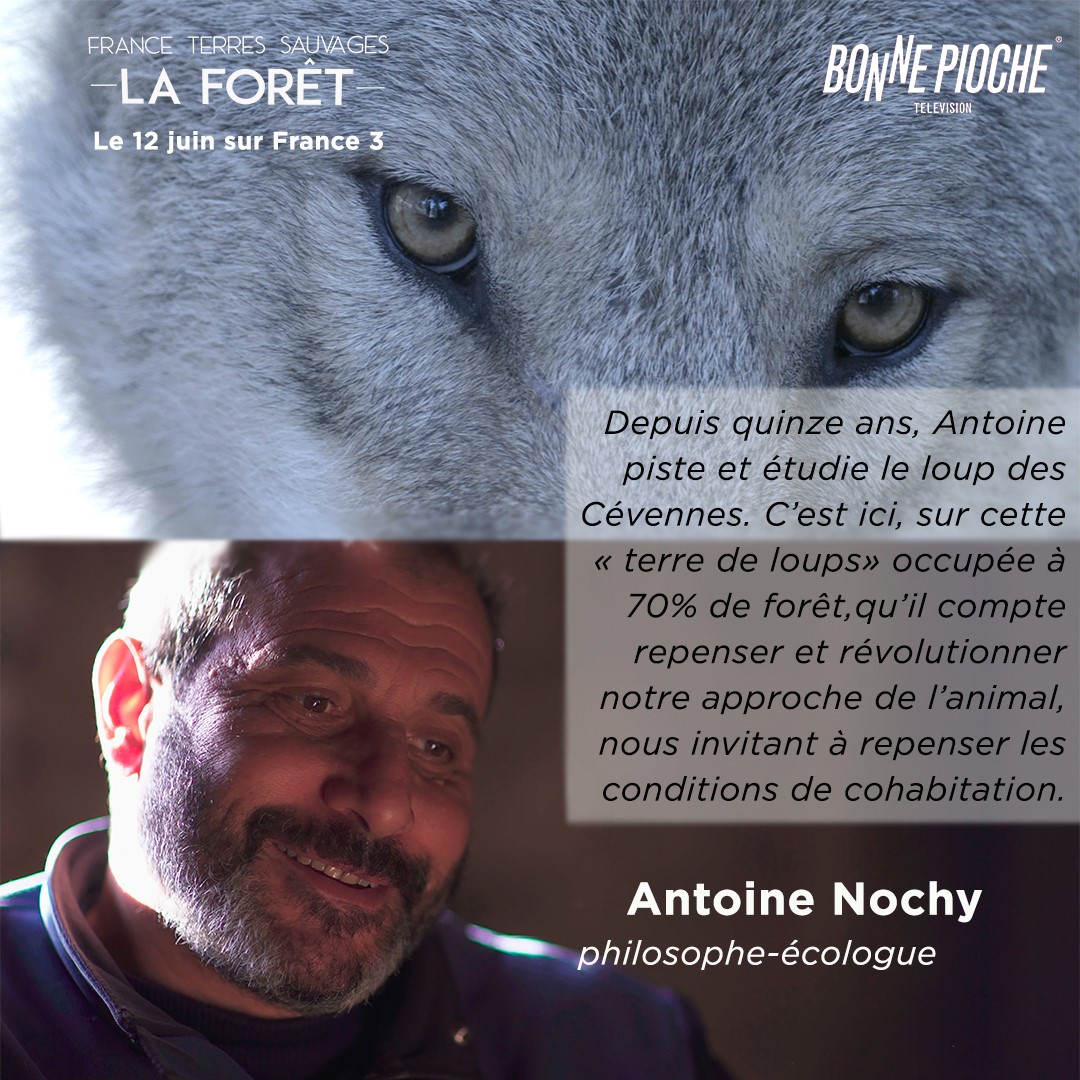 Un documentaire sur la forêt française et ses animaux