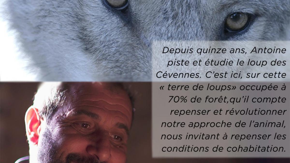 Flyer d'annonce du doc, de Bonne Pioche Prod, sur la forêt