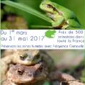 L'affiche de l'opération Fréquence Grenouille 2017