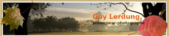 Guylerdungbanniere