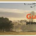 Guylerdungbanniere