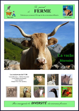 Association de la Vache Béarnaise