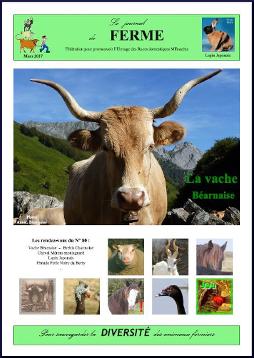 Journaux, bulletins