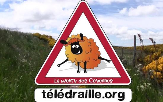 Le logo, de la web télé cévenole, Télédraille