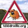 Le logo, de la web télé cévenole, Télédraille