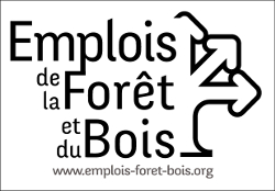 Le logo de bourse à l'emploi de la forêt et du bois