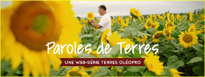 La bannière de la chaîne youtube Paroles de Terres