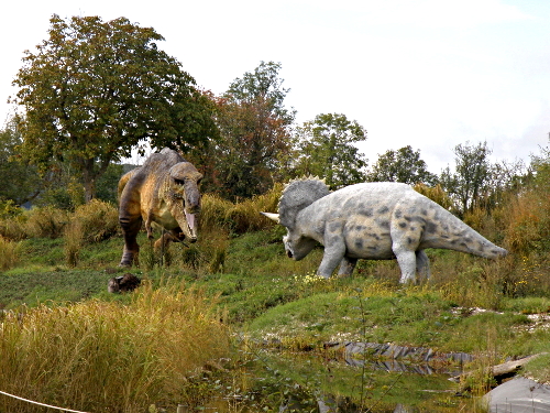 Tyrannosaure et tricératops se font face