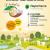 Affiche du salon du livre de l'écologie à St Pierre de Frugie