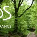 La bannière de l'association SOS forêt France