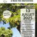 Tilleul en Fête, à Buis-les-Baronnies, édition 2025